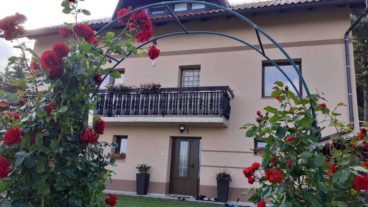 Apartment Panorama Zreče エクステリア 写真