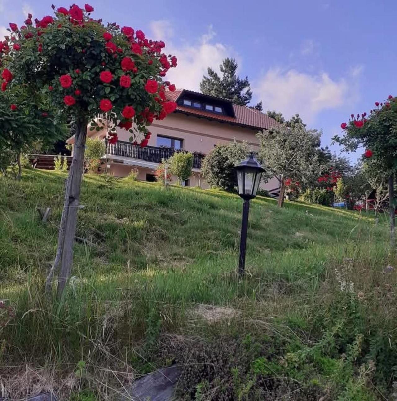 Apartment Panorama Zreče エクステリア 写真